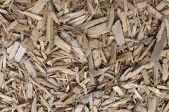 biomass boilers Fenni Fach