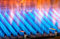 Fenni Fach gas fired boilers
